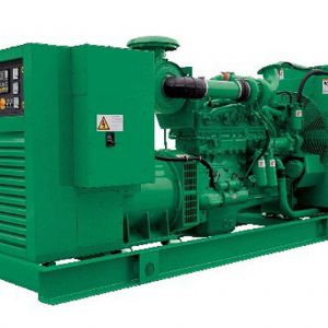 進(jìn)口發(fā)電機(jī)組